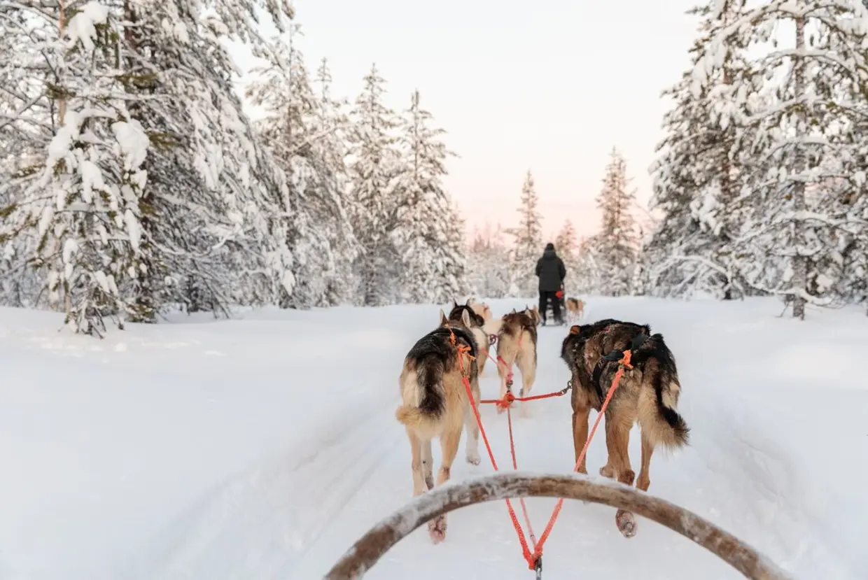 LAPLAND WINTER FAMILY HOLIDAY