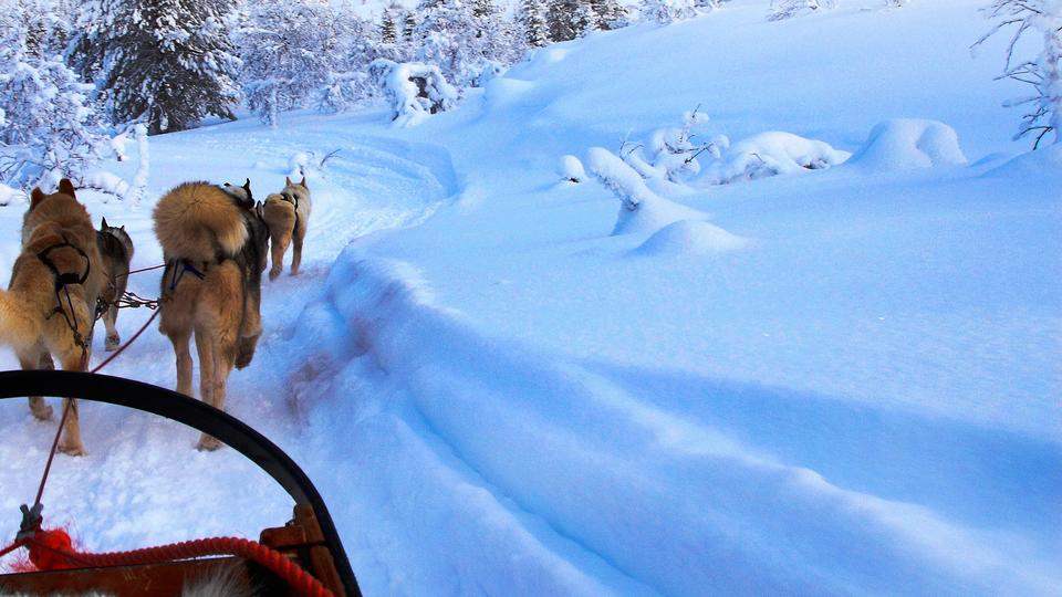 LAPLAND FAMILY ADVENTURE