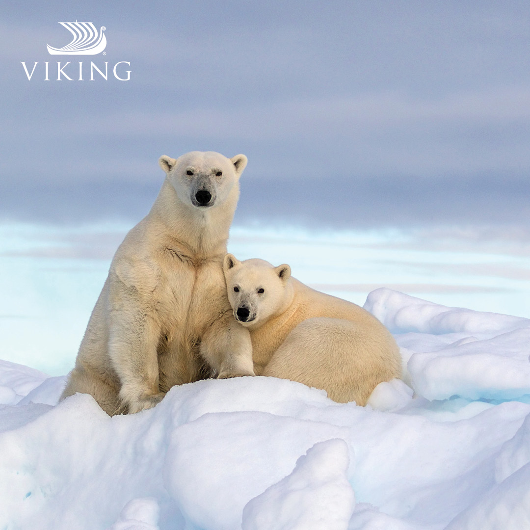 ANTARCTICA EXPLORER WITH VIKING