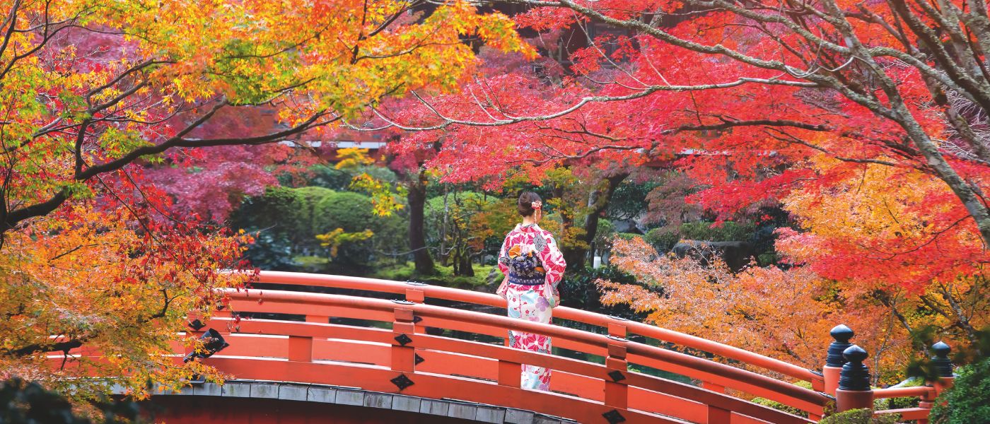 CRUISING JAPAN AND BEYOND