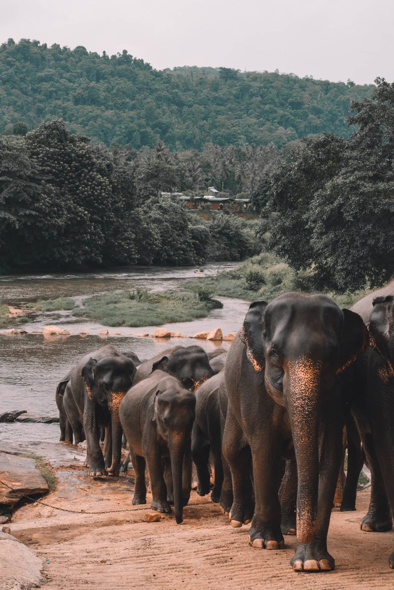 EXPERIENCE THE BEAUTY OF SRI LANKA